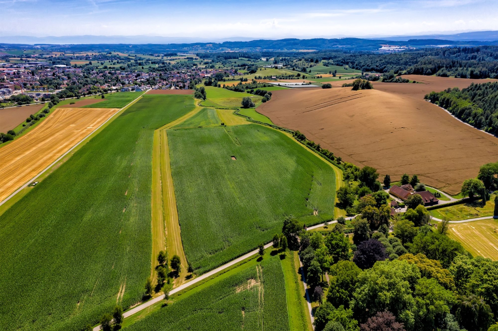 A circular food system can reverse the overshoot of planetary boundaries