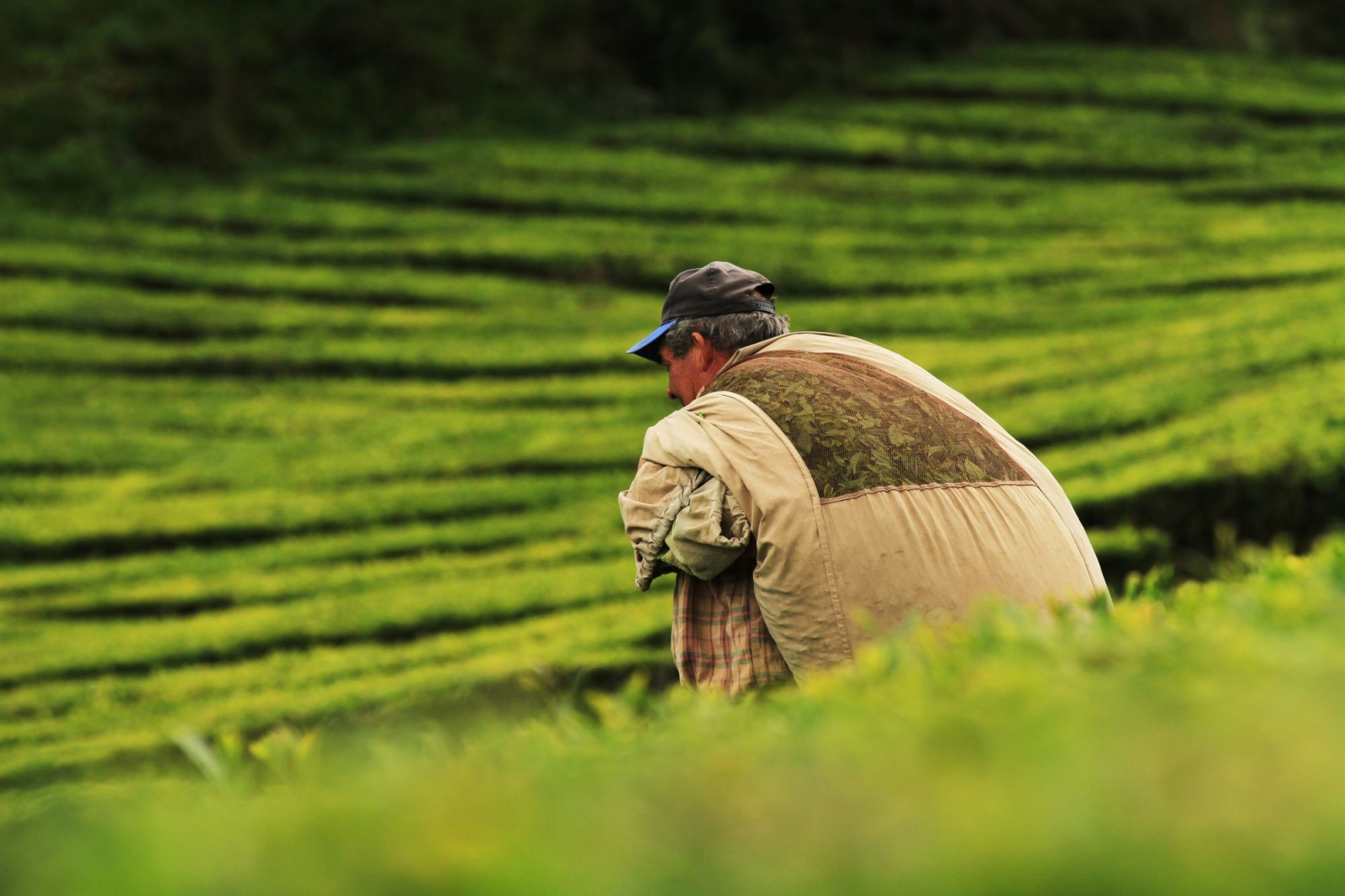 Finanza climatica, diminuiscono i fondi per la transizione dei sistemi agricoli