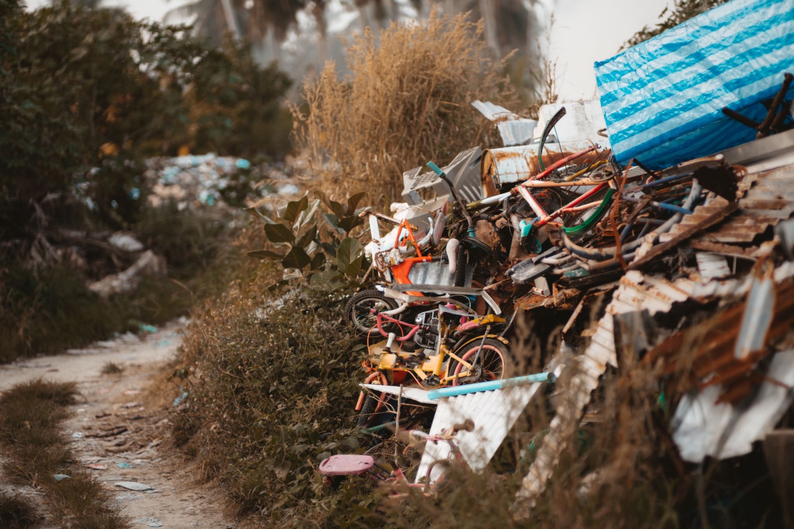 Ecomafia 2023: il nuovo censimento dei reati ambientali in Italia