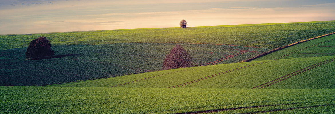 Italy Has a New Bioeconomy Strategy