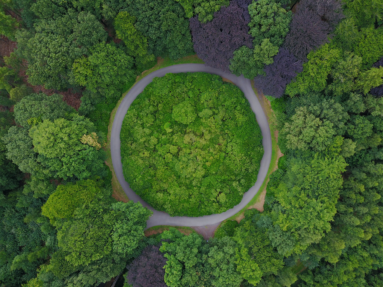 Le conferenze di Rete Ambiente: il 18 giugno si discute di economia circolare con Walter Stahel