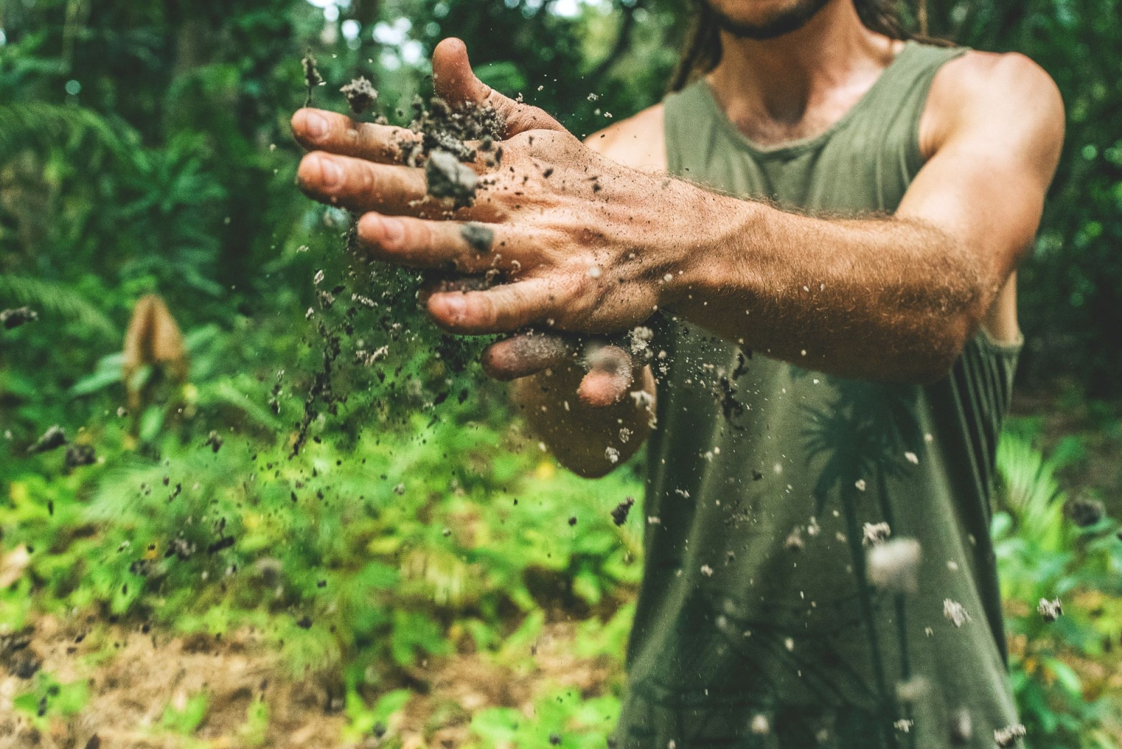 Cos’è l’agricoltura sintropica e perché serve al pianeta