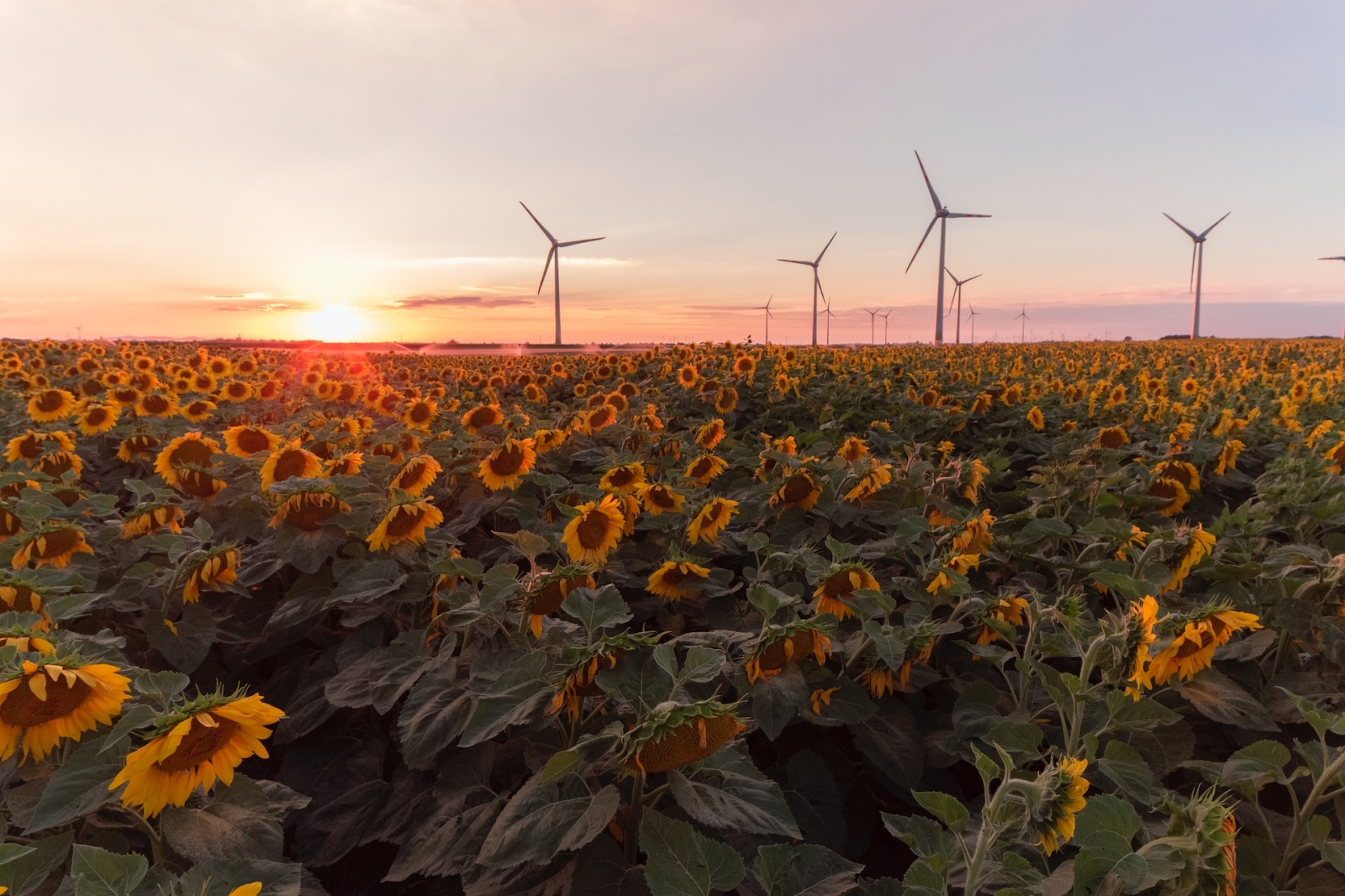 Direttiva energie rinnovabili, Parlamento UE e Consiglio raggiungono l’accordo