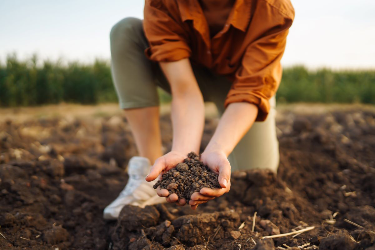 Trasformare i rifiuti alimentari in terreno fertile per una crescita sostenibile