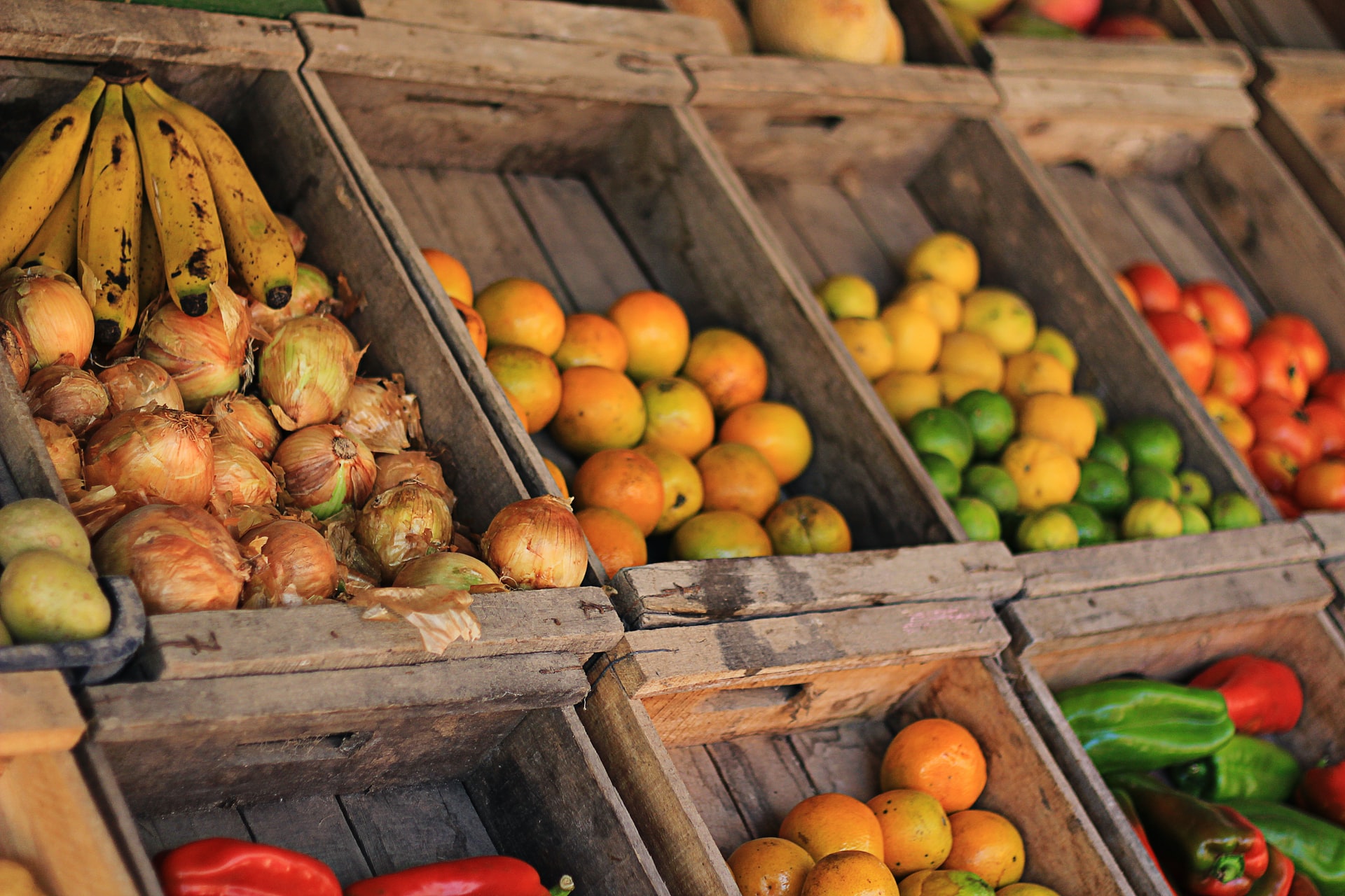 Food: sempre più aziende del settore alimentare guardano all’economia circolare