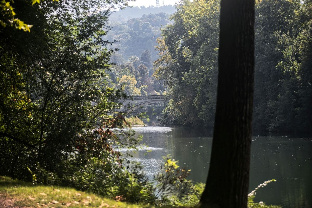 Forum biodiversità nel distretto del Po 2025: appuntamento il 12 e 13 marzo