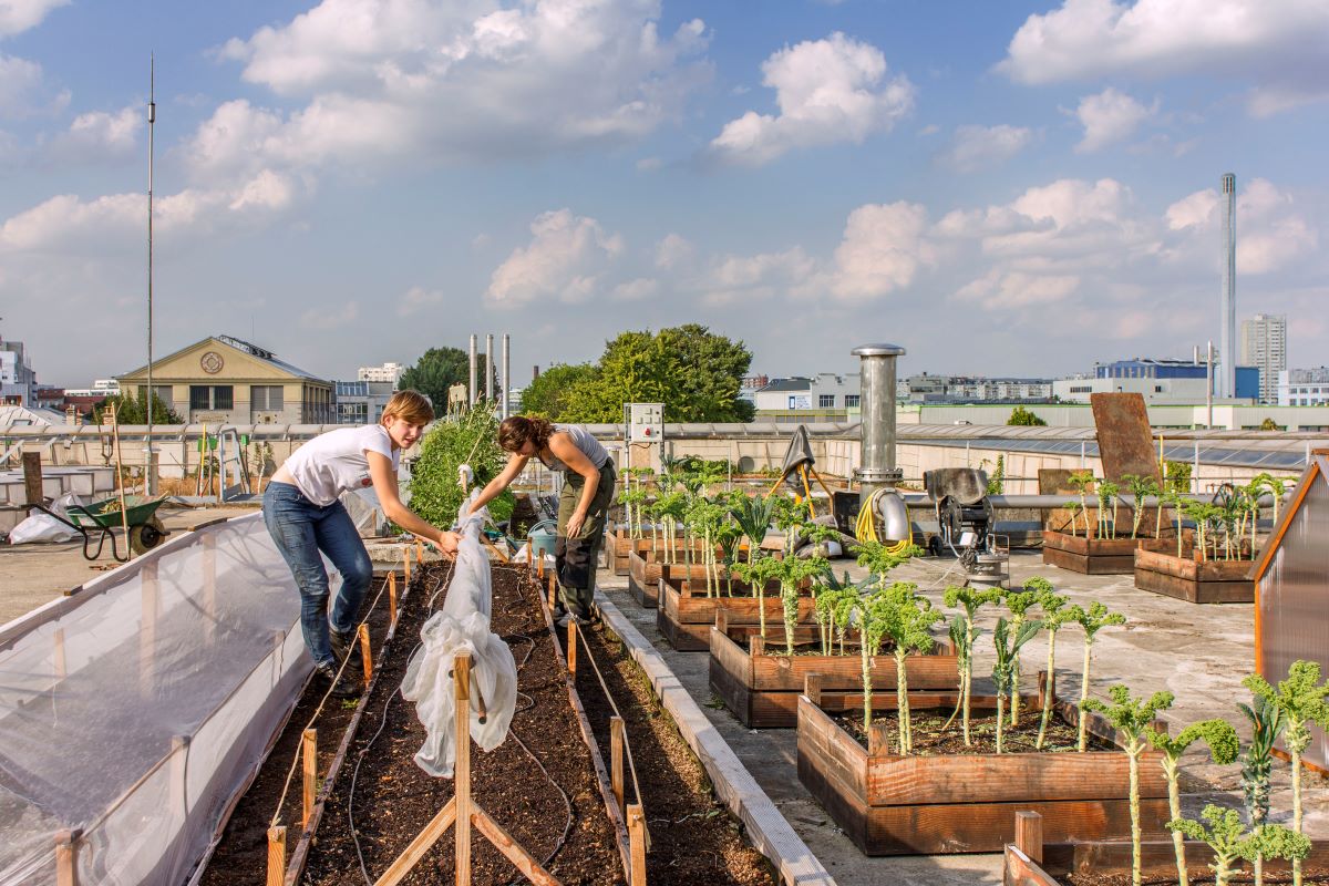 Carlo Petrini e Franco Fassio: ecco il futuro dell’economia circolare per il cibo