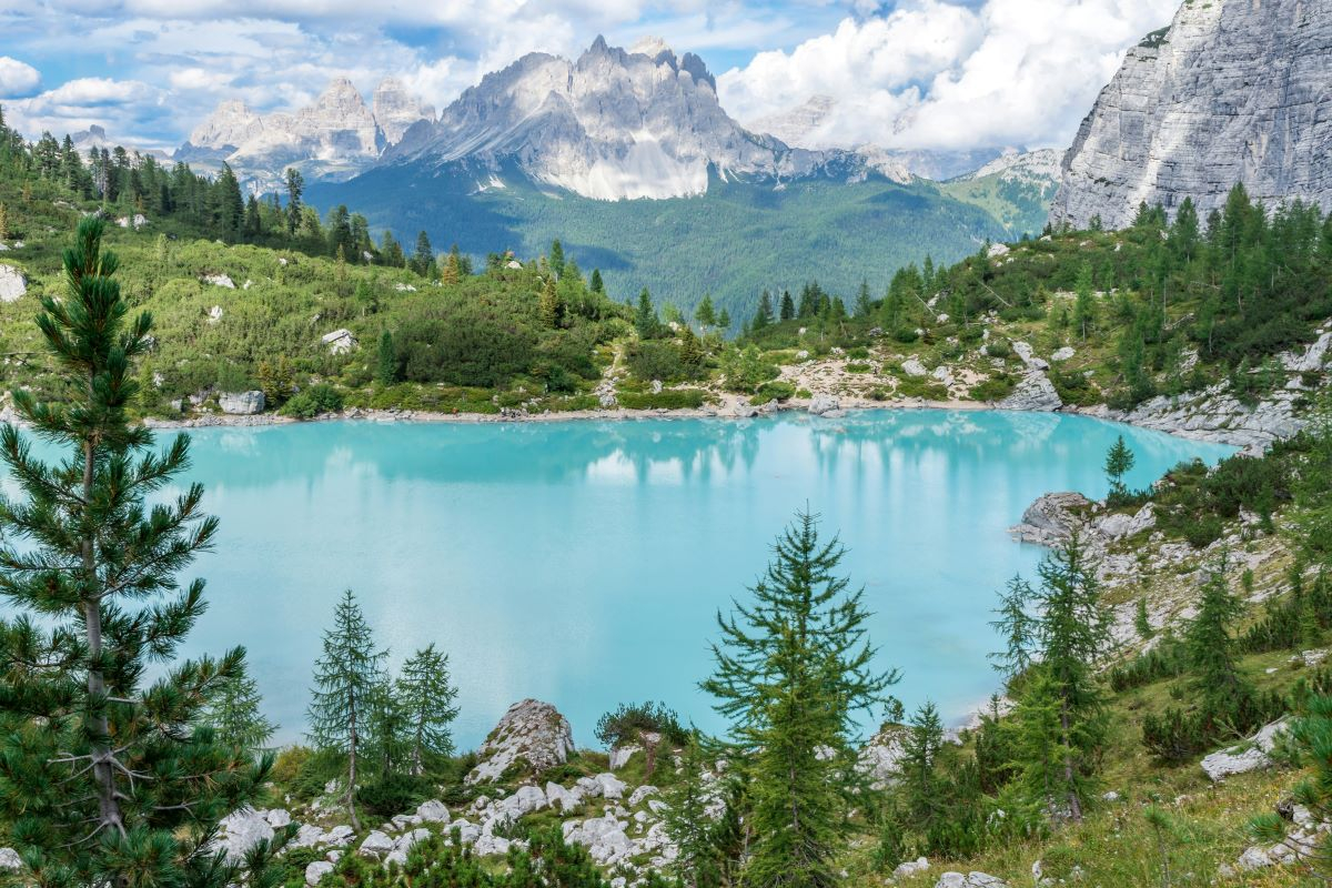 Riportare la Natura dentro l’architettura: la terza edizione del Biophilia Camp