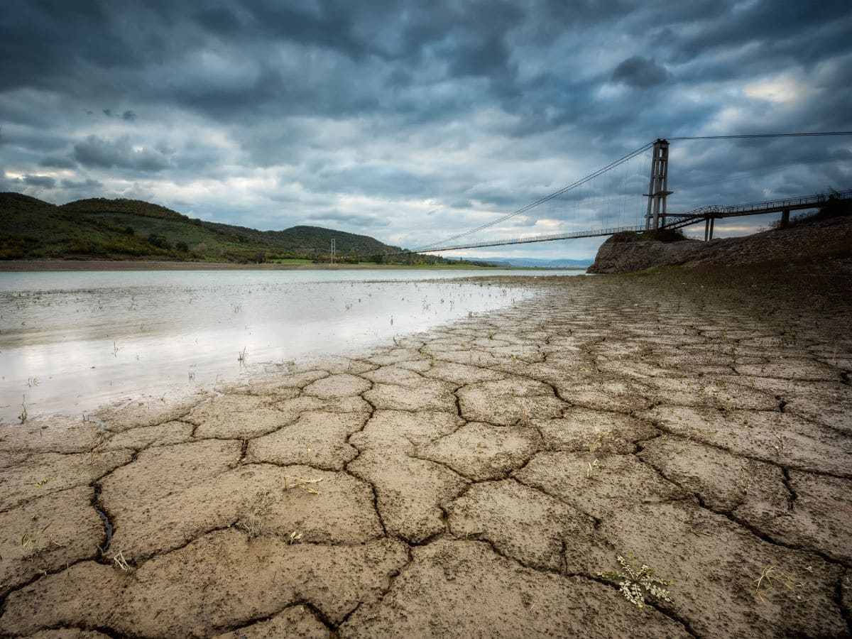 Gli impatti finanziari dei rischi climatici in due report del World Economic Forum