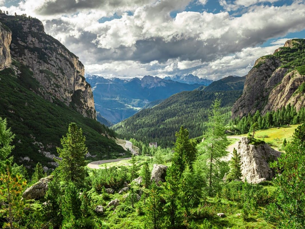 Capitale naturale e biodiversità