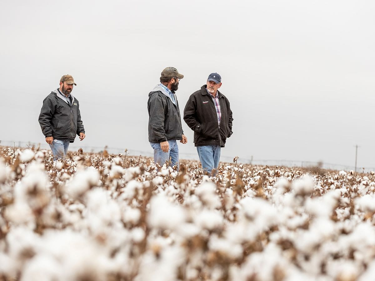 Idrogeno low-carbon e riciclo tessile: le scommesse di BASF