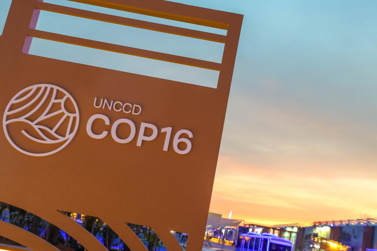 COP16 Desertification Saudi Arabia, UN negotiations close in Riyadh