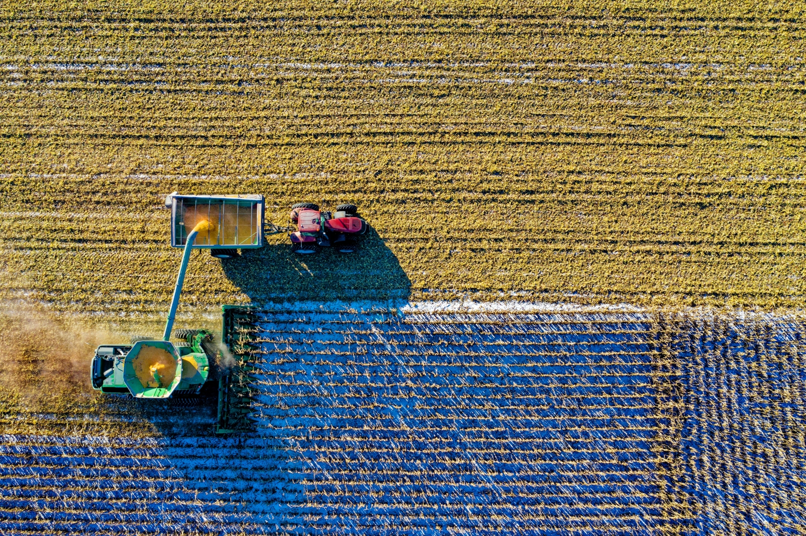 Il futuro dell’agricoltura sostenibile passa dall’intelligenza artificiale