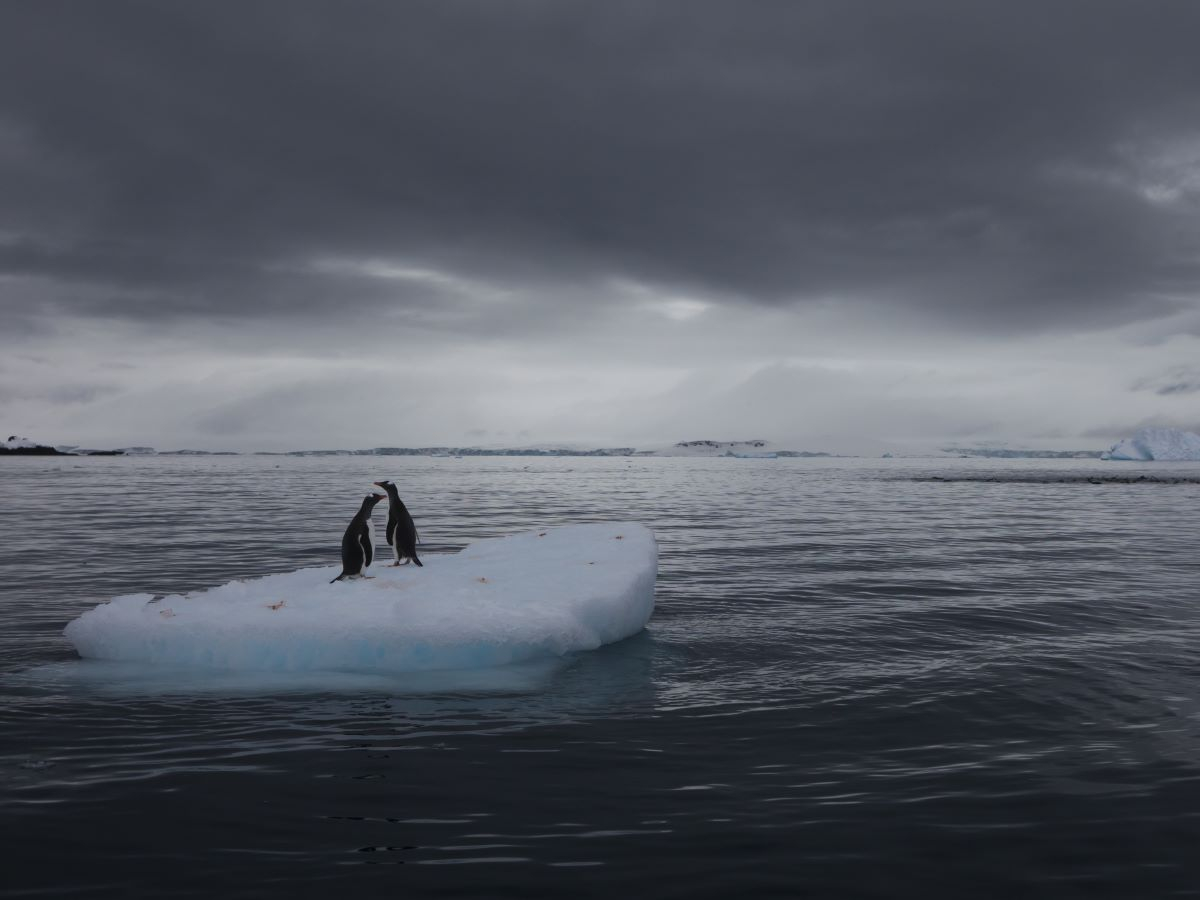 Il pianeta è in crisi ma possiamo ancora scegliere il nostro futuro: il GEO-7 UNEP