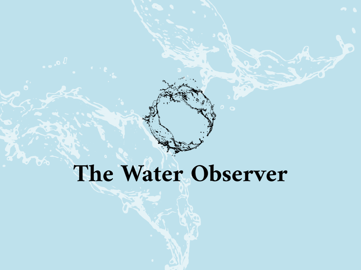 Renewable Matter launches the newsletter “The Water Observer”