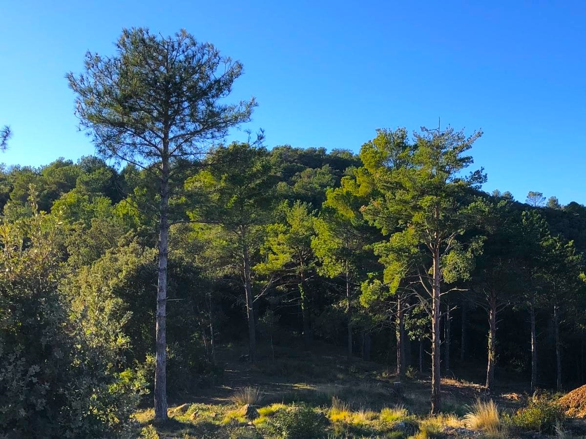 Perché la rigenerazione deve parlare il linguaggio della finanza