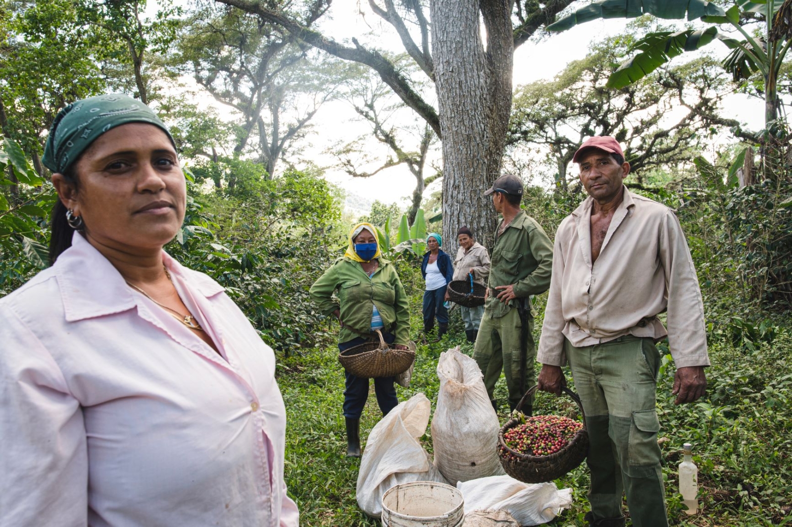 L’esperienza di Lavazza a Cuba, una storia contemporanea di sostenibilità