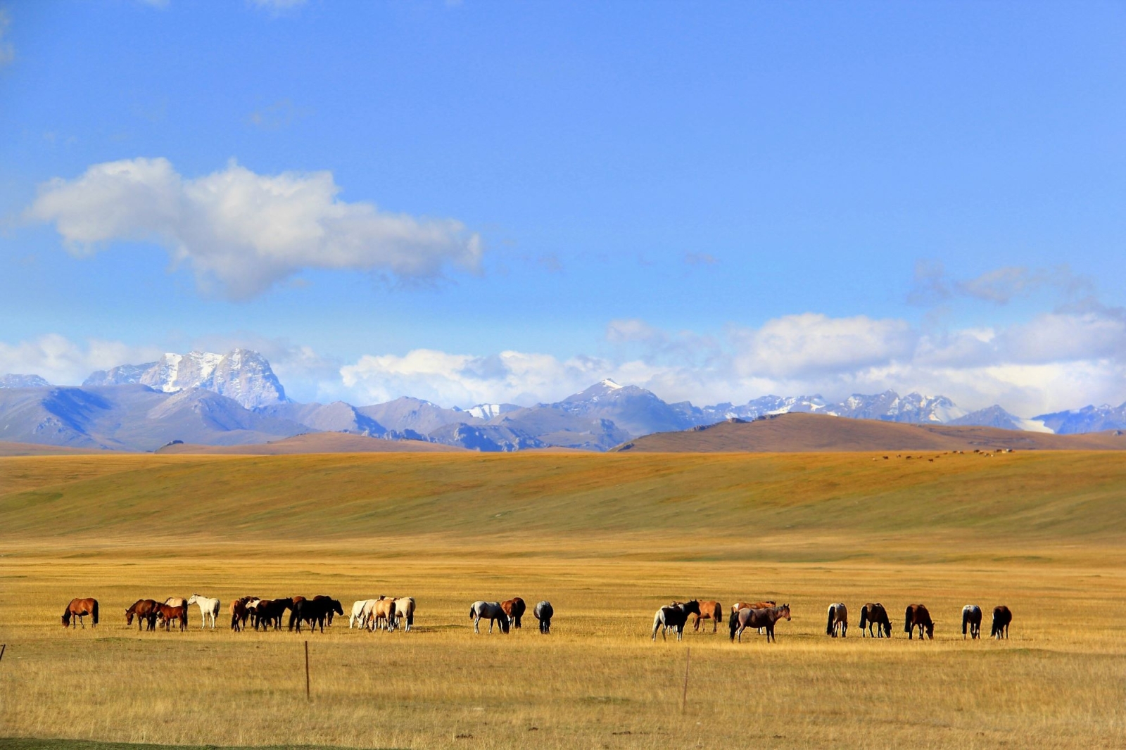 La desertificazione in Cina diminuisce grazie al clima e all’agricoltura