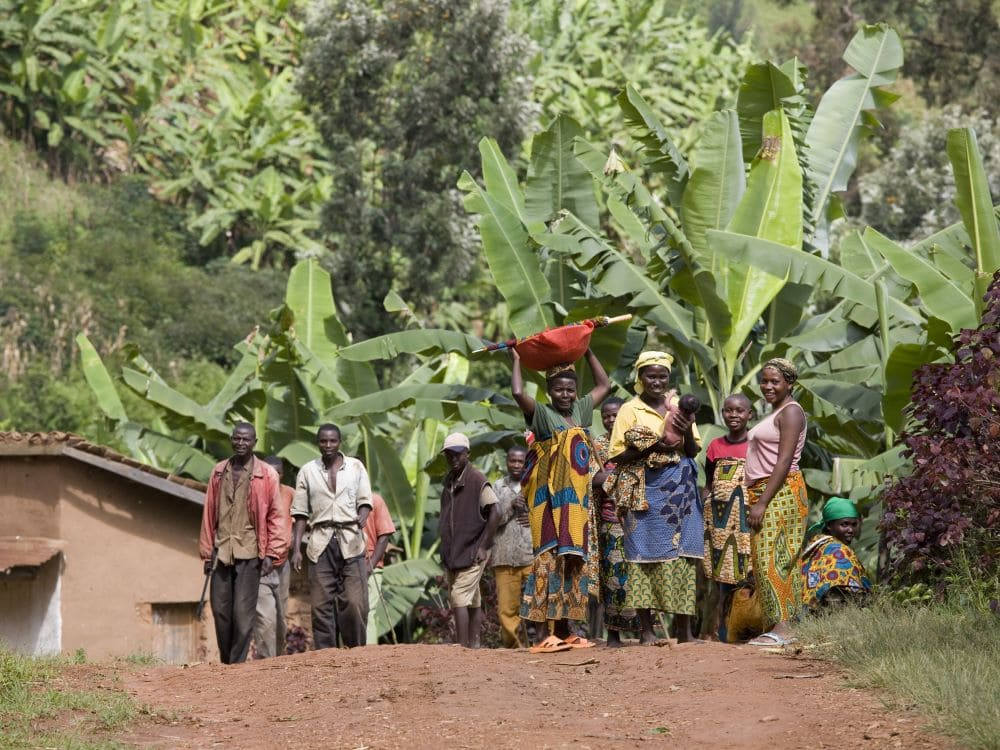 Crediti di biodiversità, da COP16 un framework per garantire un mercato giusto