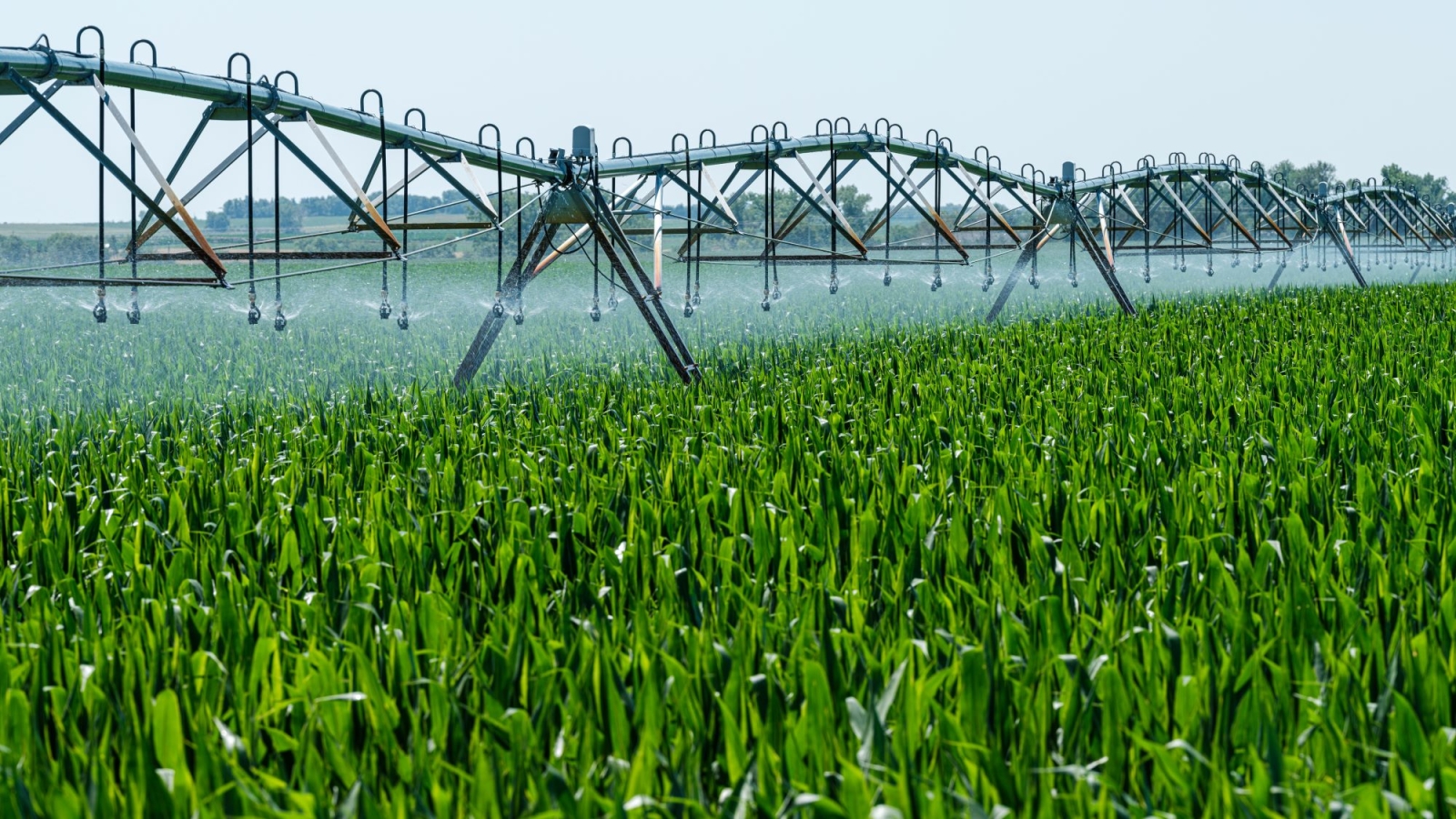 A Firenze il Forum internazionale sulle biotecnologie industriali e la bioeconomia