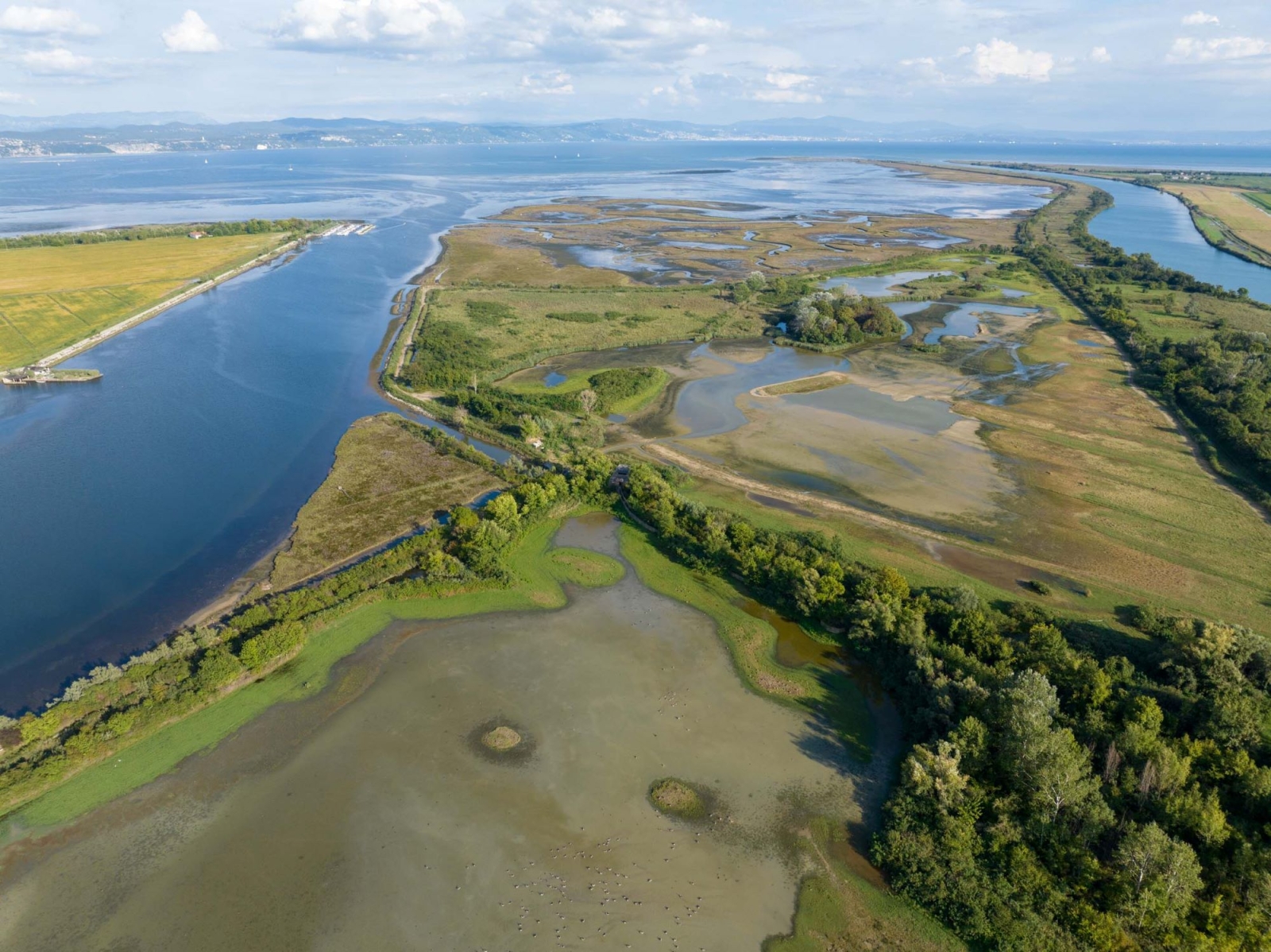 Adaptation, il Friuli-Venezia Giulia che si adatta alla crisi climatica