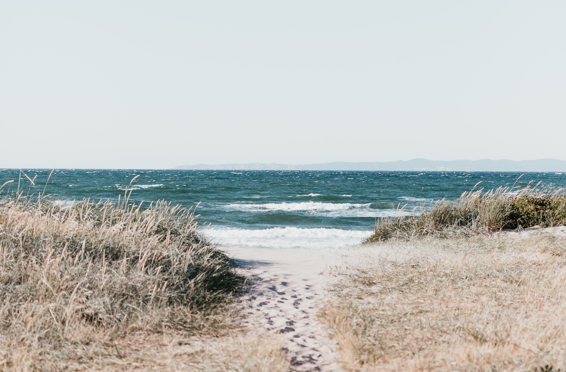 Un Patto con il Mare per la Terra