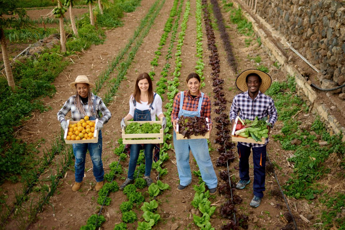 Ripensare un’agricoltura più sostenibile con la Farming for Future Foundation