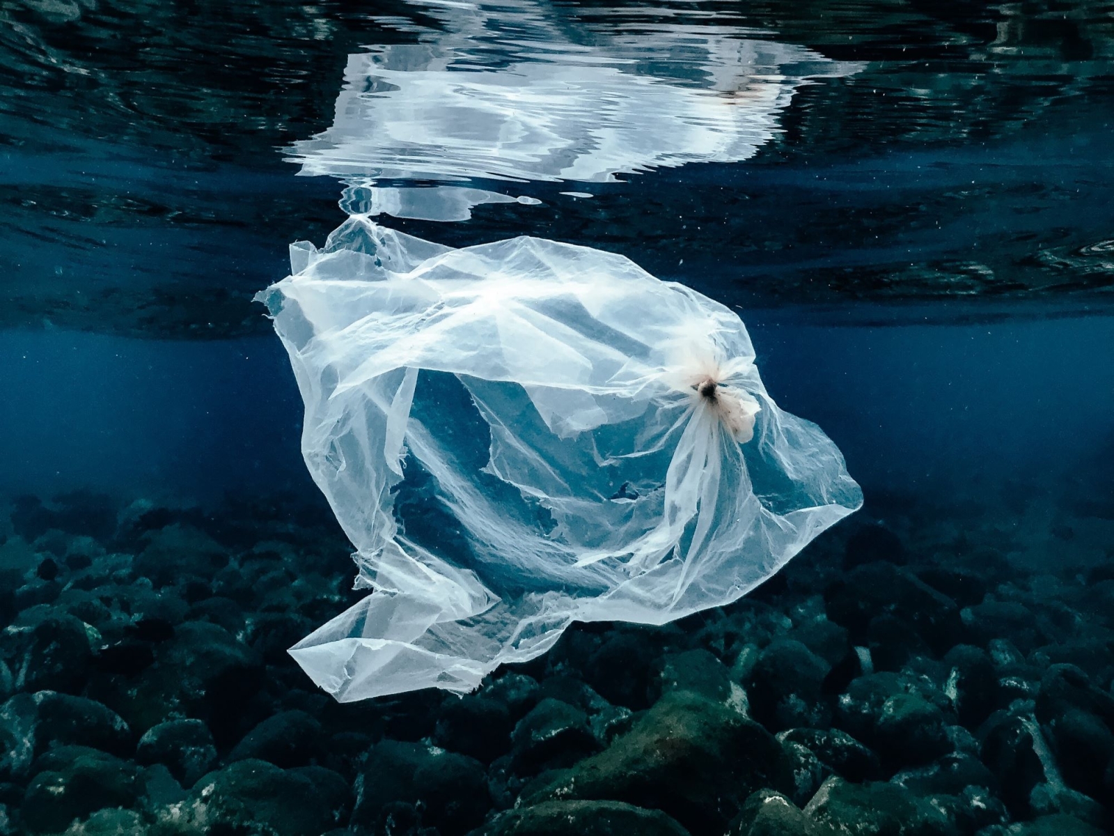 Legge Salvamare, al via il piano per eliminare la plastica dai fiumi