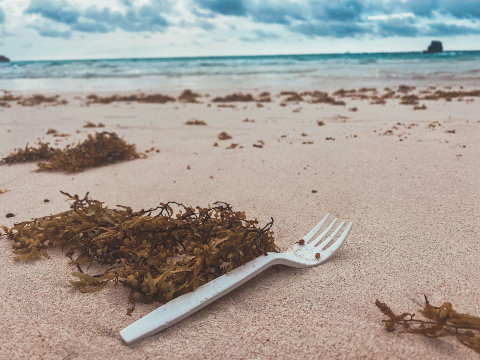 La plastica (monouso) che inquina le spiagge italiane: il rapporto di Legambiente