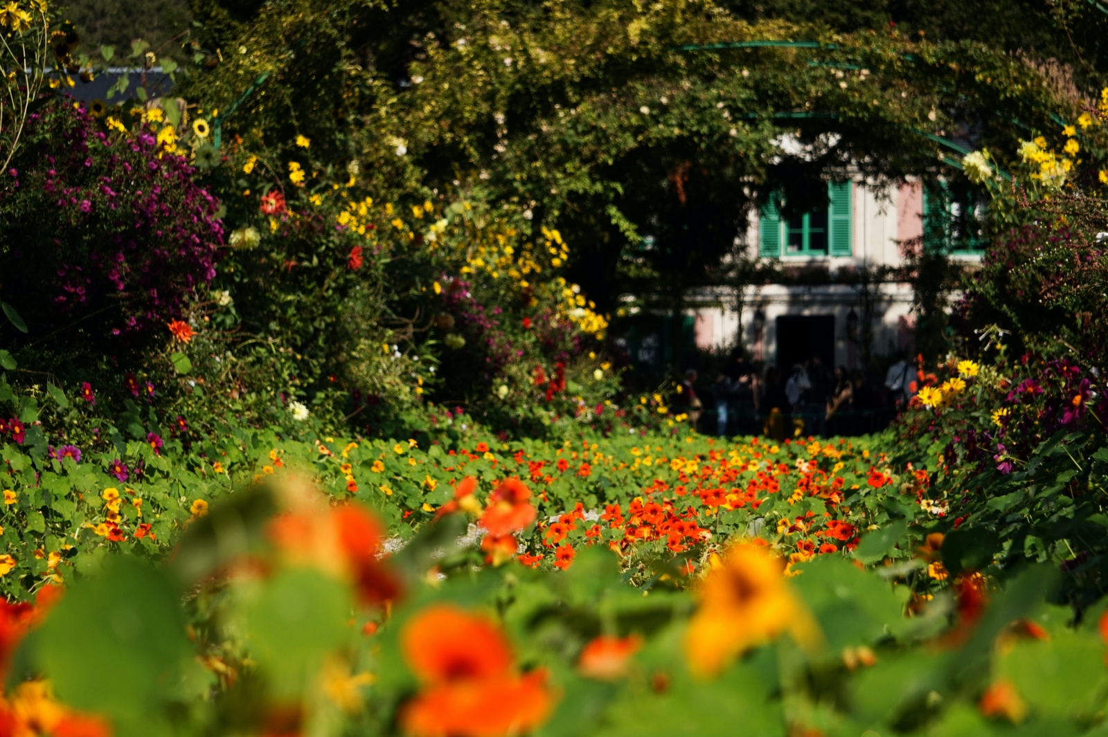 Ortiflora Expo 2023 a Roma: programma, temi e tutto quello che c’è da sapere