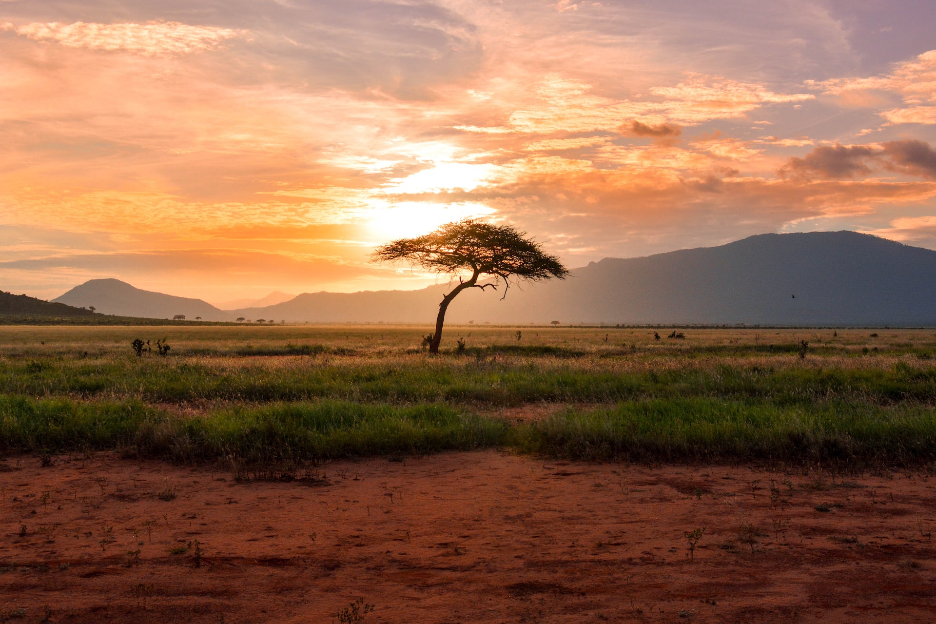 Torna a Milano Africa Talks. Quali sfide ambientali per l'Africa di oggi?  