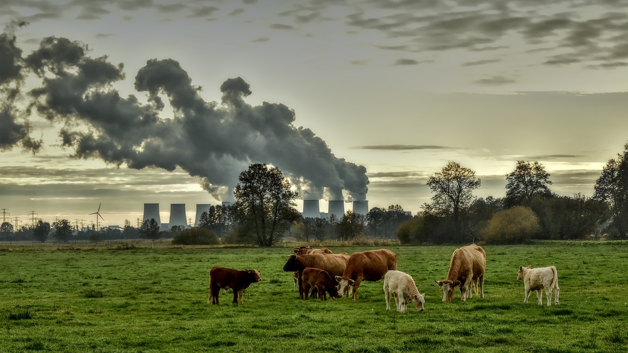 Che cos'è la mitigazione del cambiamento climatico