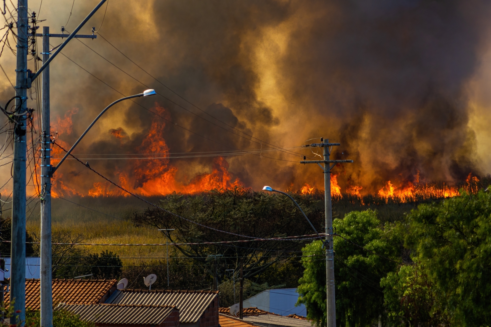 Le emissioni degli incendi boschivi impattano sul cambiamento climatico