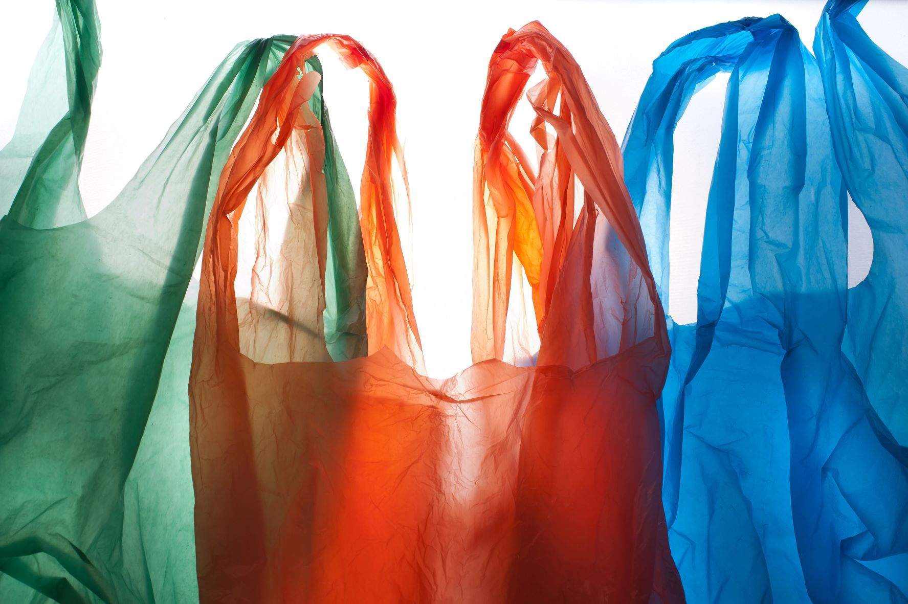 Una piattaforma online per la lotta alle bioplastiche contraffatte