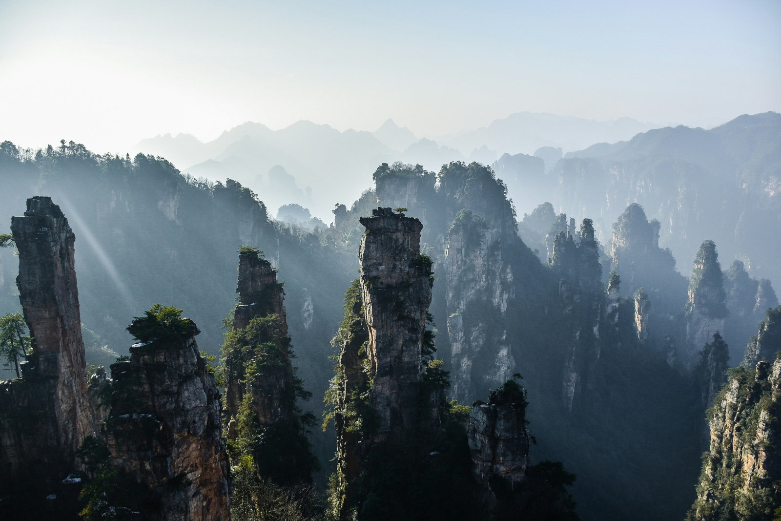 Wang Yao: così la Cina finanzia la biodiversità