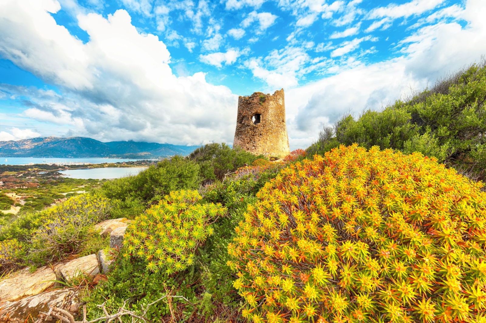 Perché la Sardegna ha deciso di fermare le rinnovabili