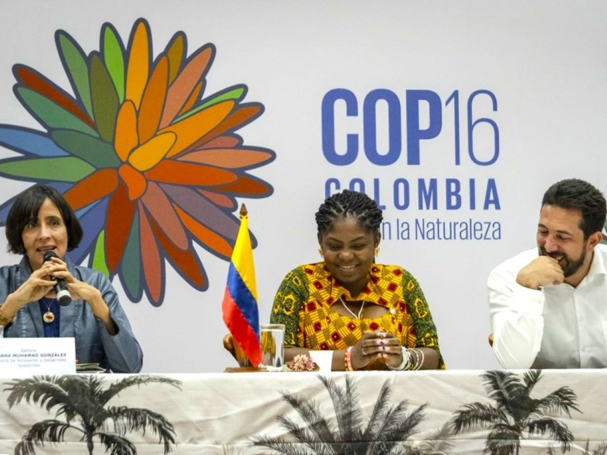 COP16, cosa aspettarsi dalla conferenza sulla biodiversità di Cali