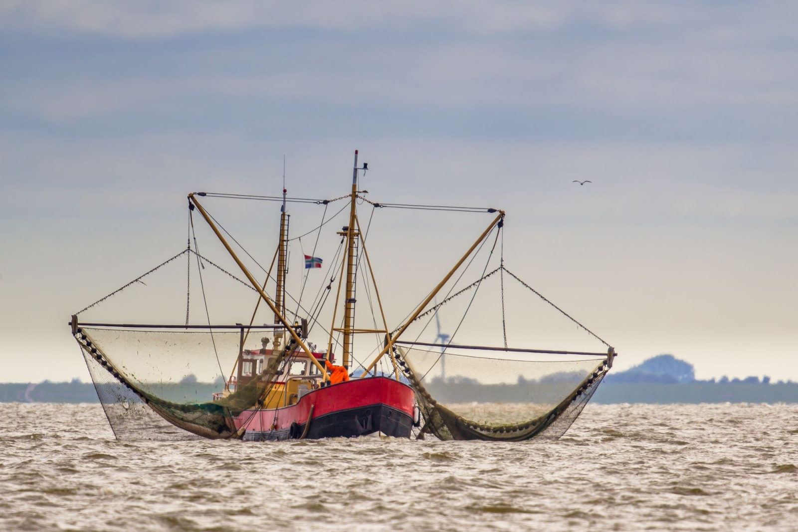 Quanta anidride carbonica emette la pesca a strascico?