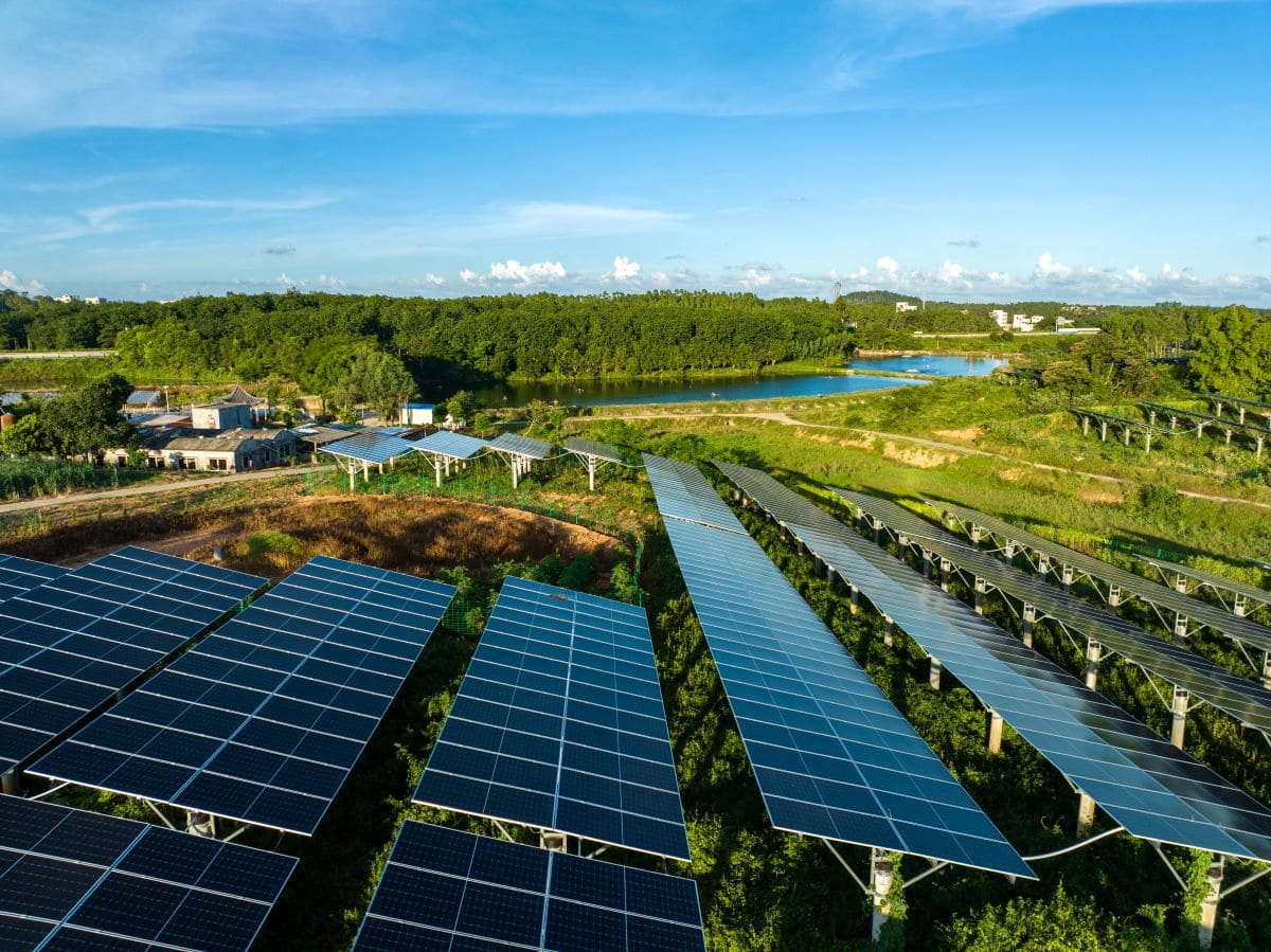 Energia e biodiversità: il fotovoltaico come alleato della natura