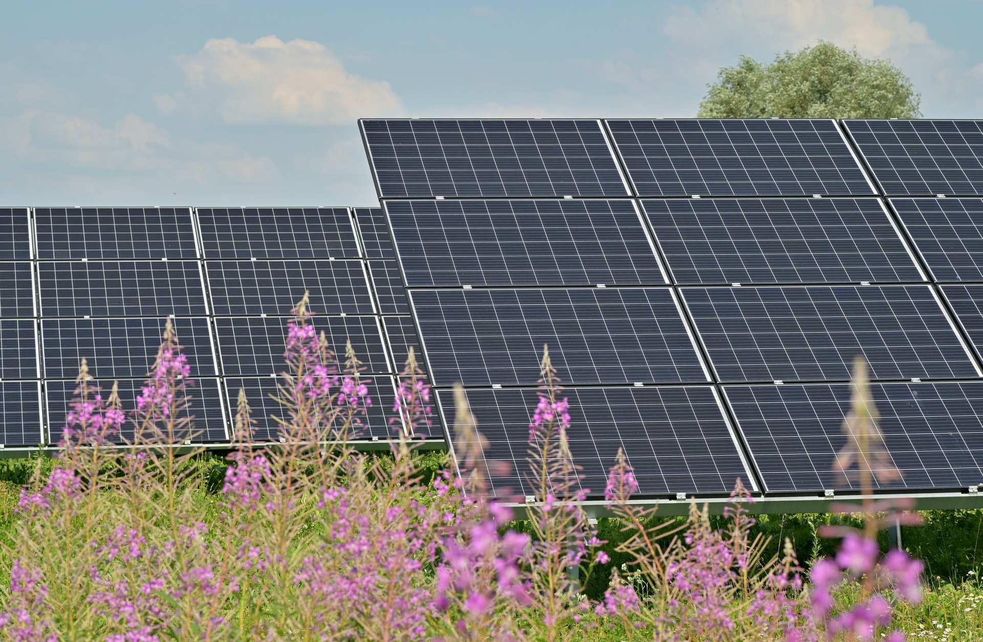 Enel e Confagricoltura insieme per la transizione energetica e circolare in agricoltura