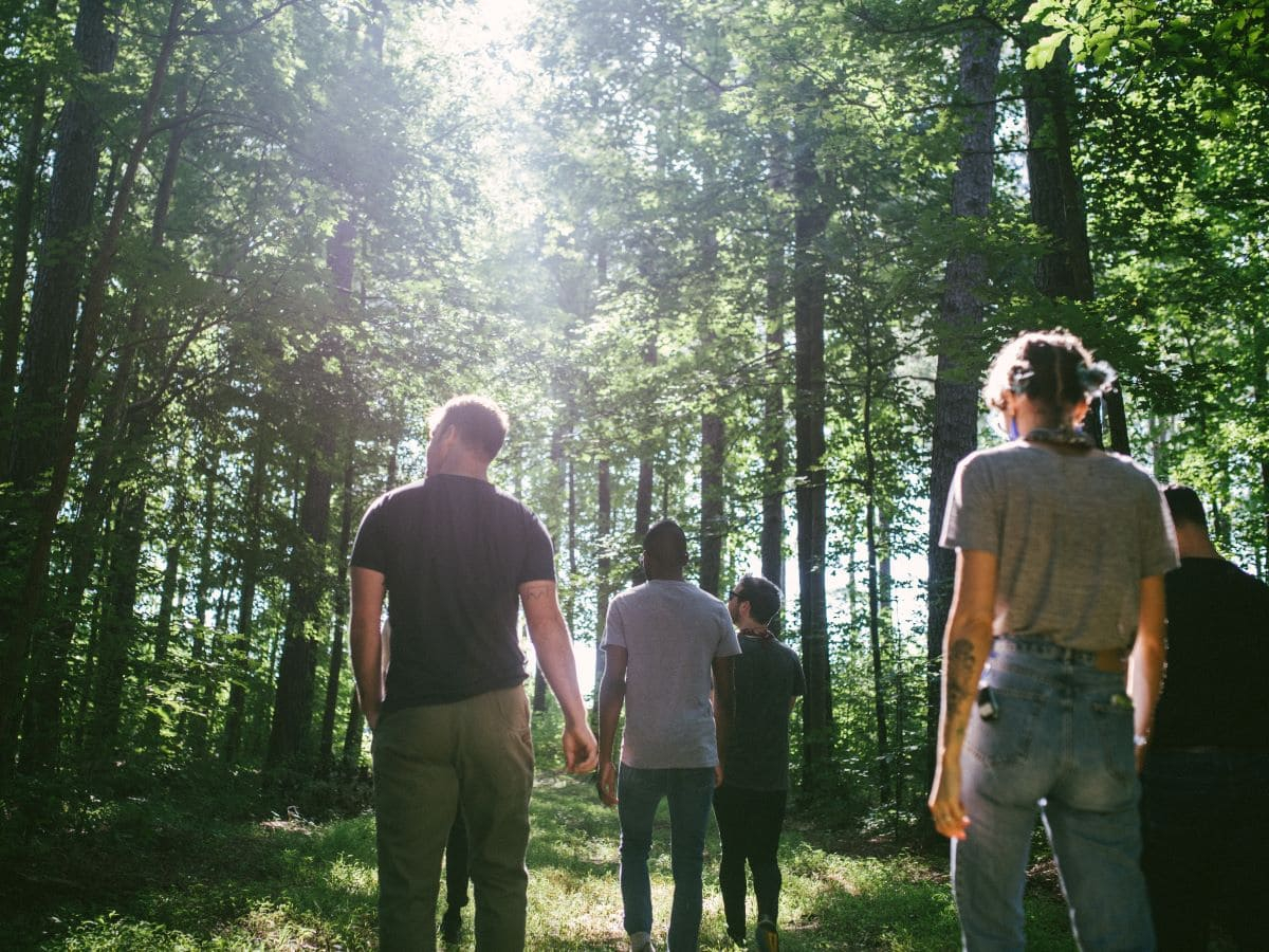 Startup, Funga: ripristinare la biodiversità e catturare CO₂ con le micorrize