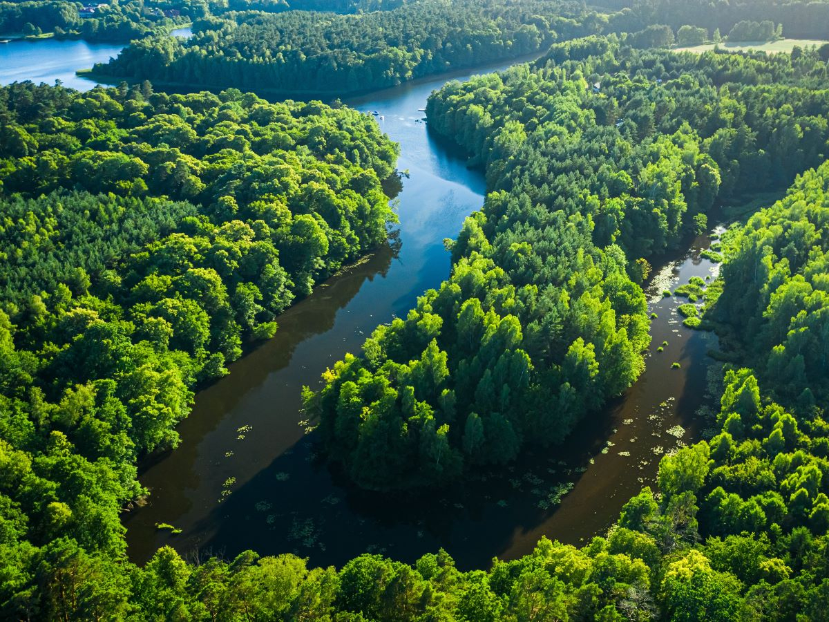 SDG6, ONU: la metà del mondo ha sistemi di acqua dolce degradati