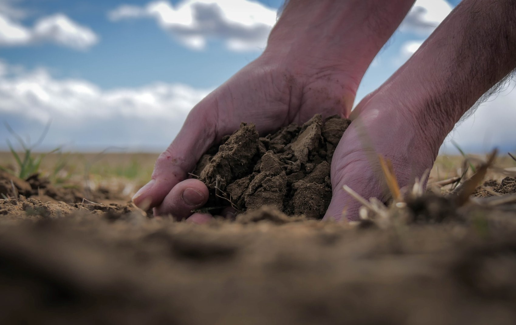 RoboNova: la biotecnologia per rigenerare il suolo