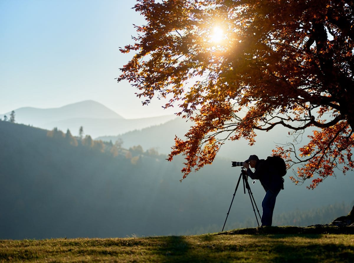 TerraLenta Film Festival apre la call per documentari e cortometraggi ambientali