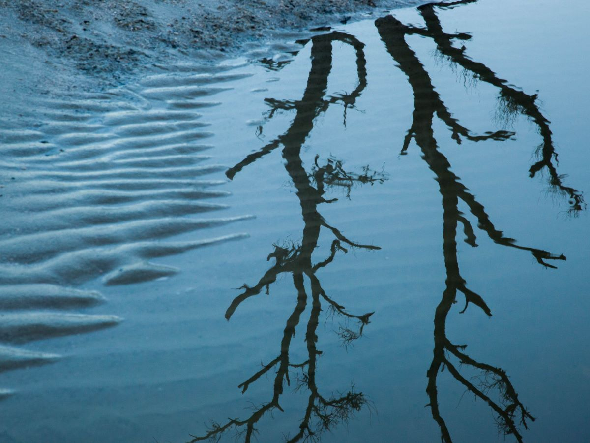L'OCSE ridefinisce l'agenda globale sull'acqua, ma qual è la sua legittimità?