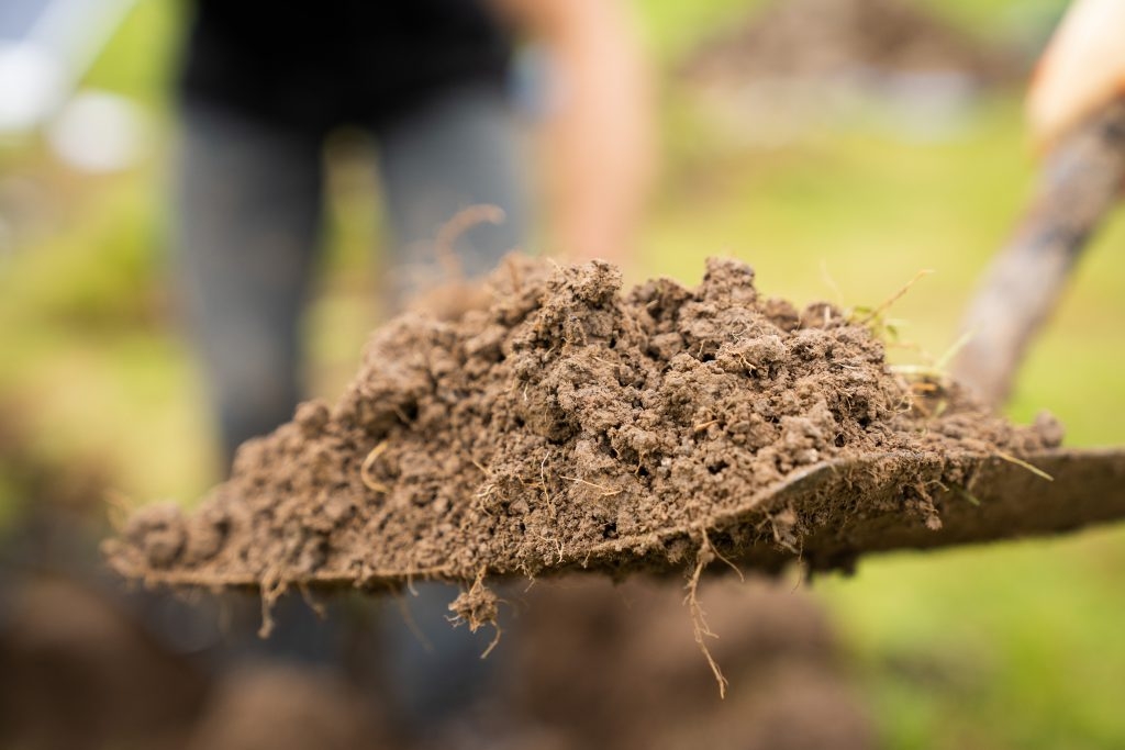 Startup: enhanced rock weathering for carbon sequestration with UnDo