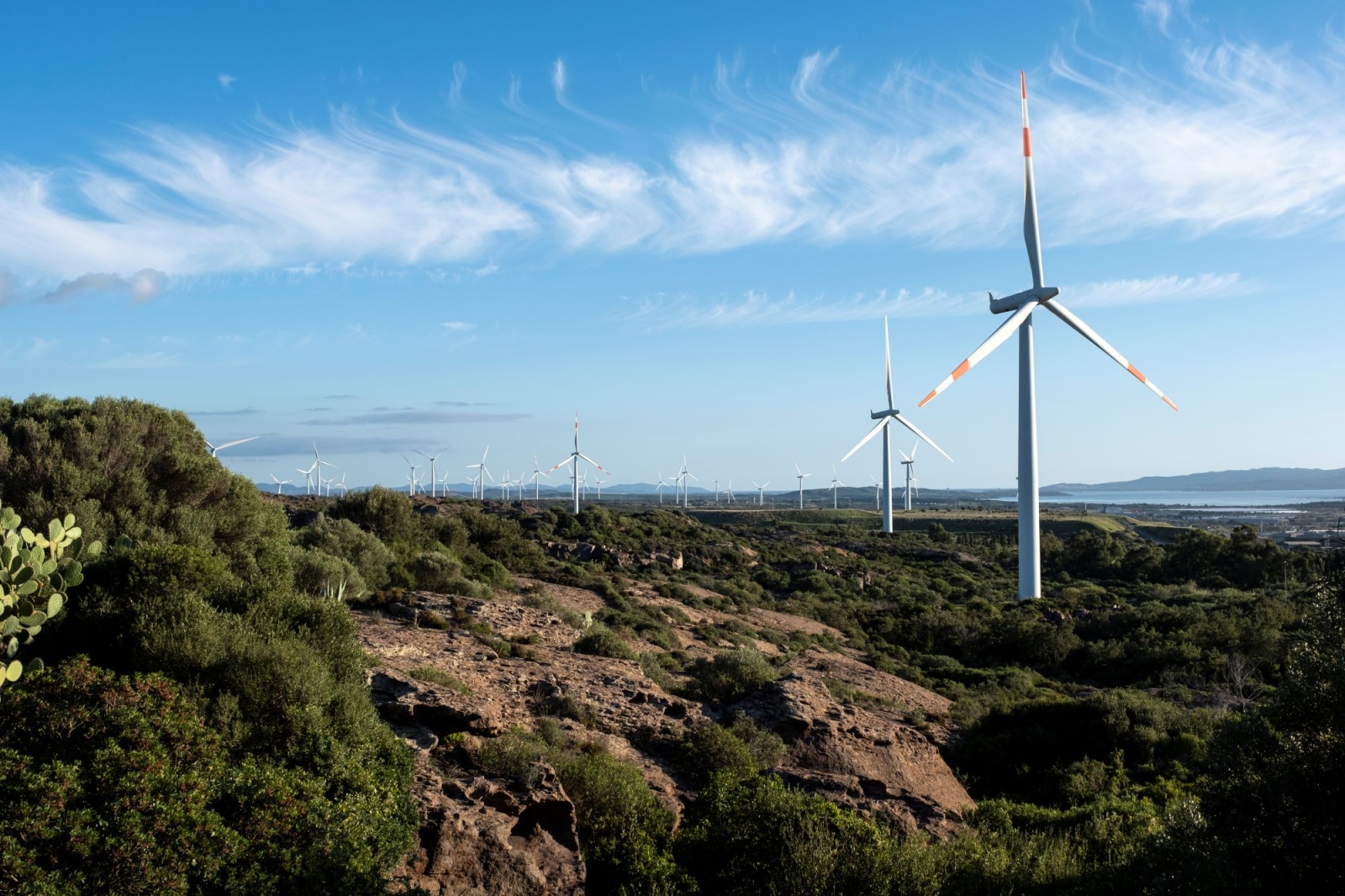 Da ENEL un Sustainability-Linked Bond da 1,75 miliardi di euro