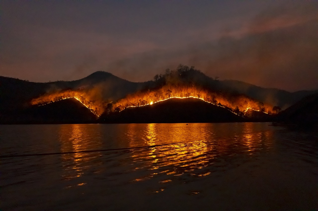 Hawaii, le cause degli incendi e cosa è successo a Maui