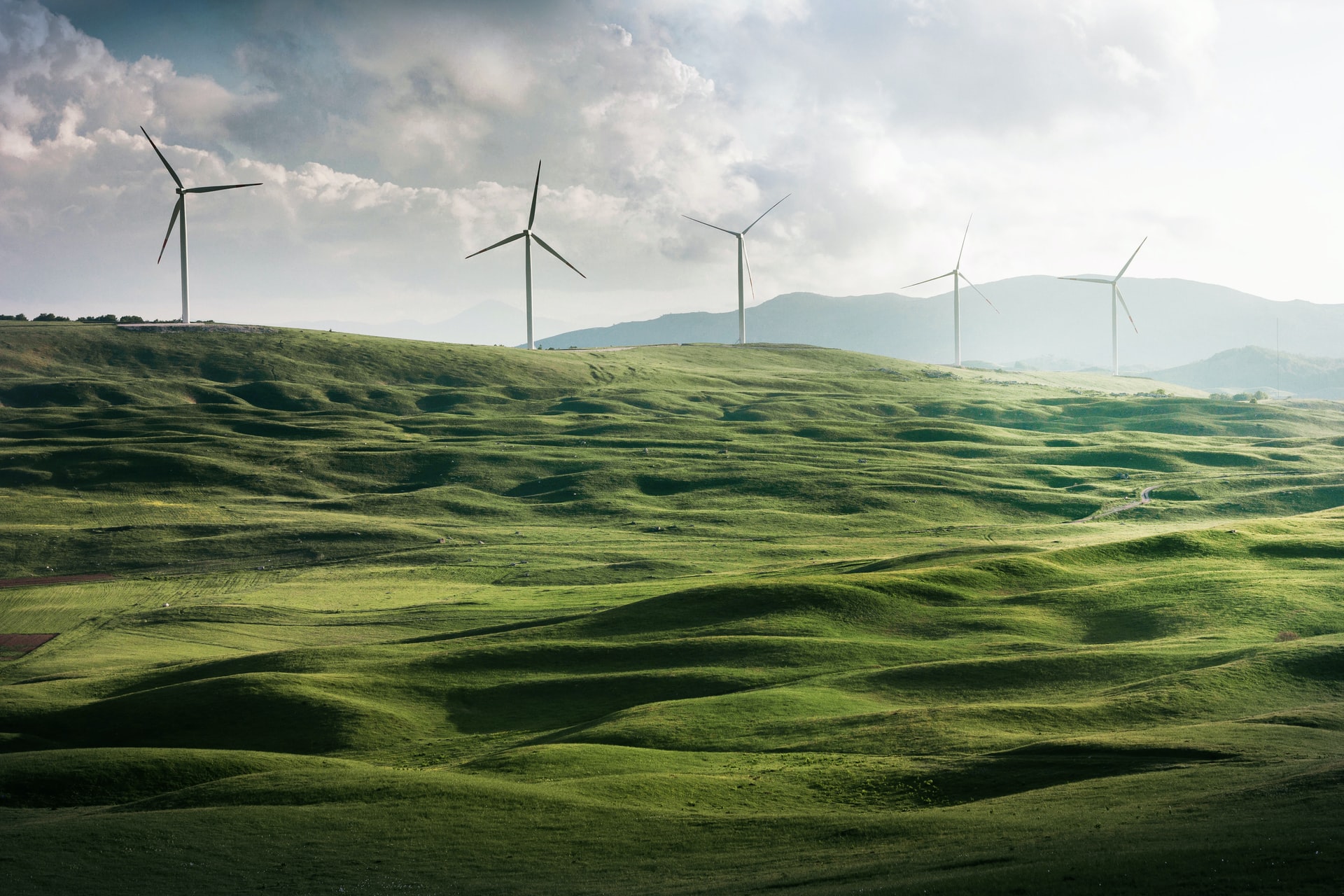 Un Green Day per la cultura della transizione ecologica