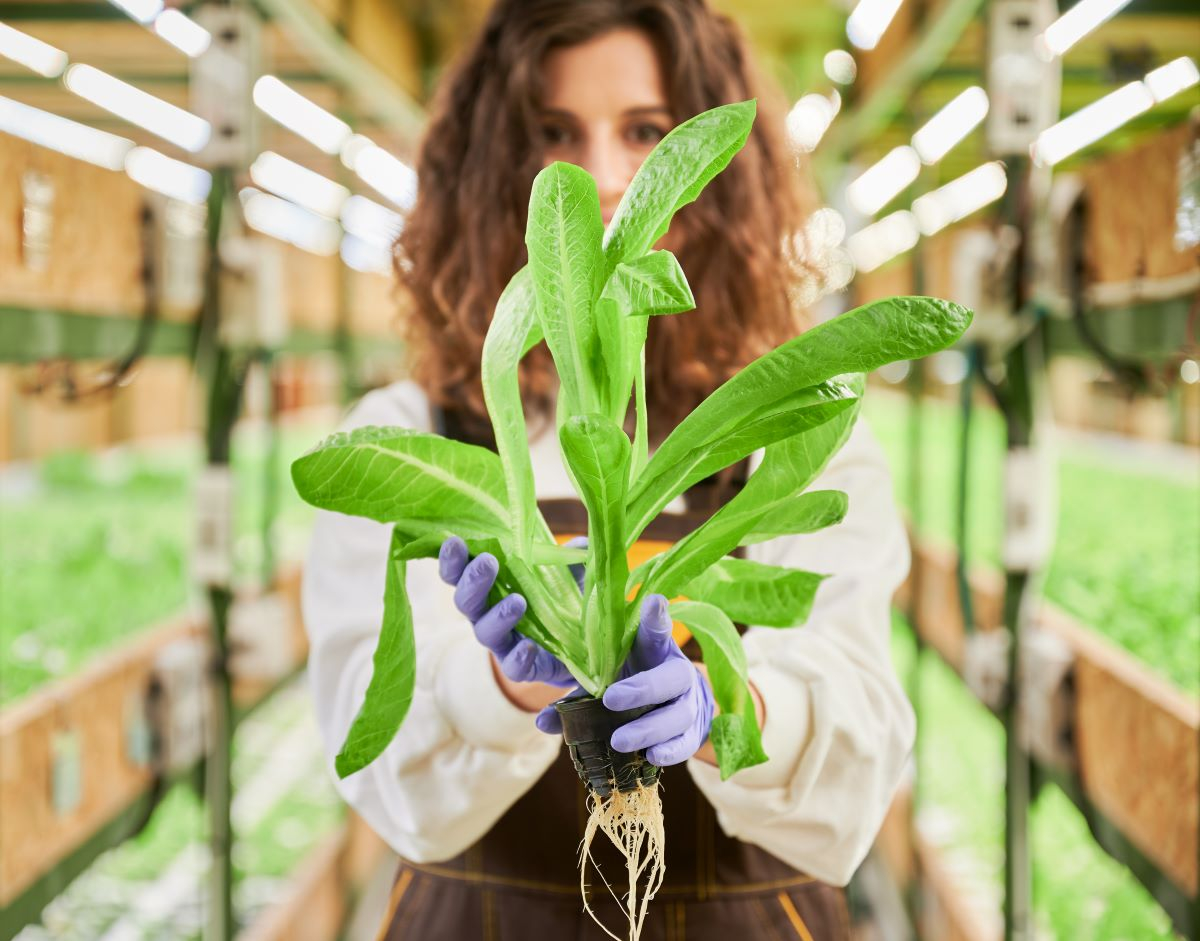 Bioeconomia, le 7 startup selezionate da Terra Next per il programma di accelerazione